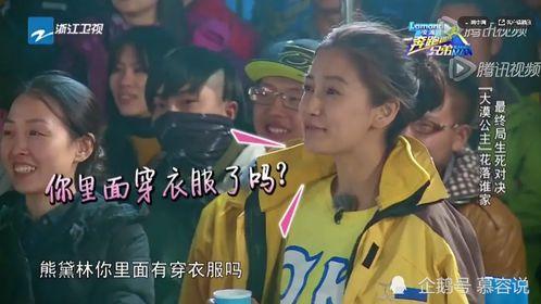 娱乐圈综艺节目吃瓜小说